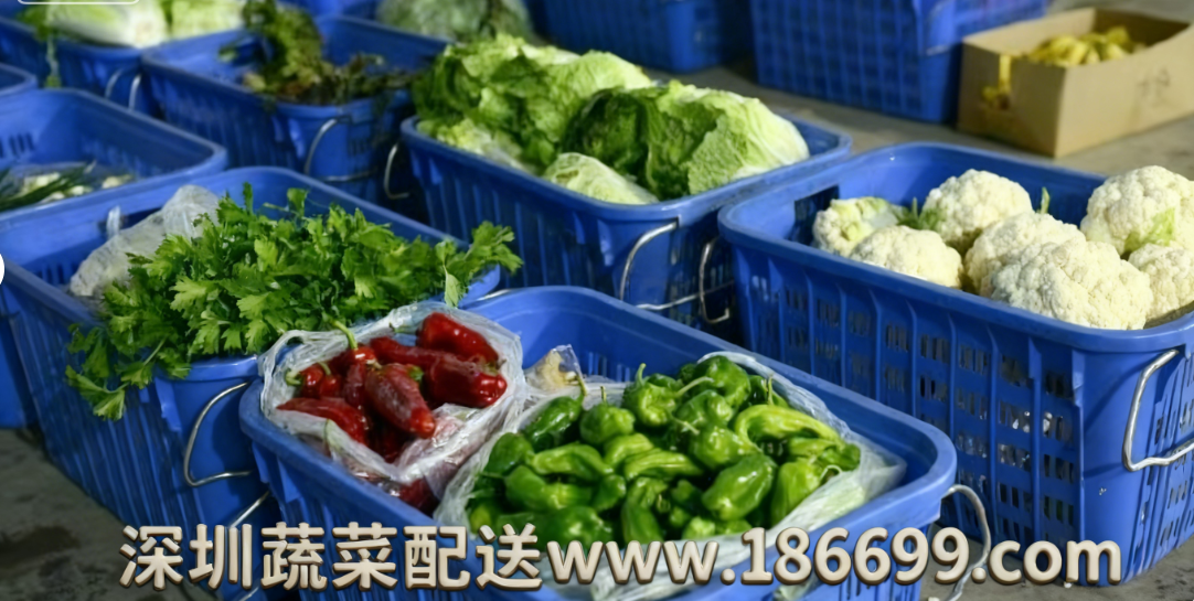 深圳食堂蔬菜配送為何選擇佳惠鮮蔬菜配送中心？