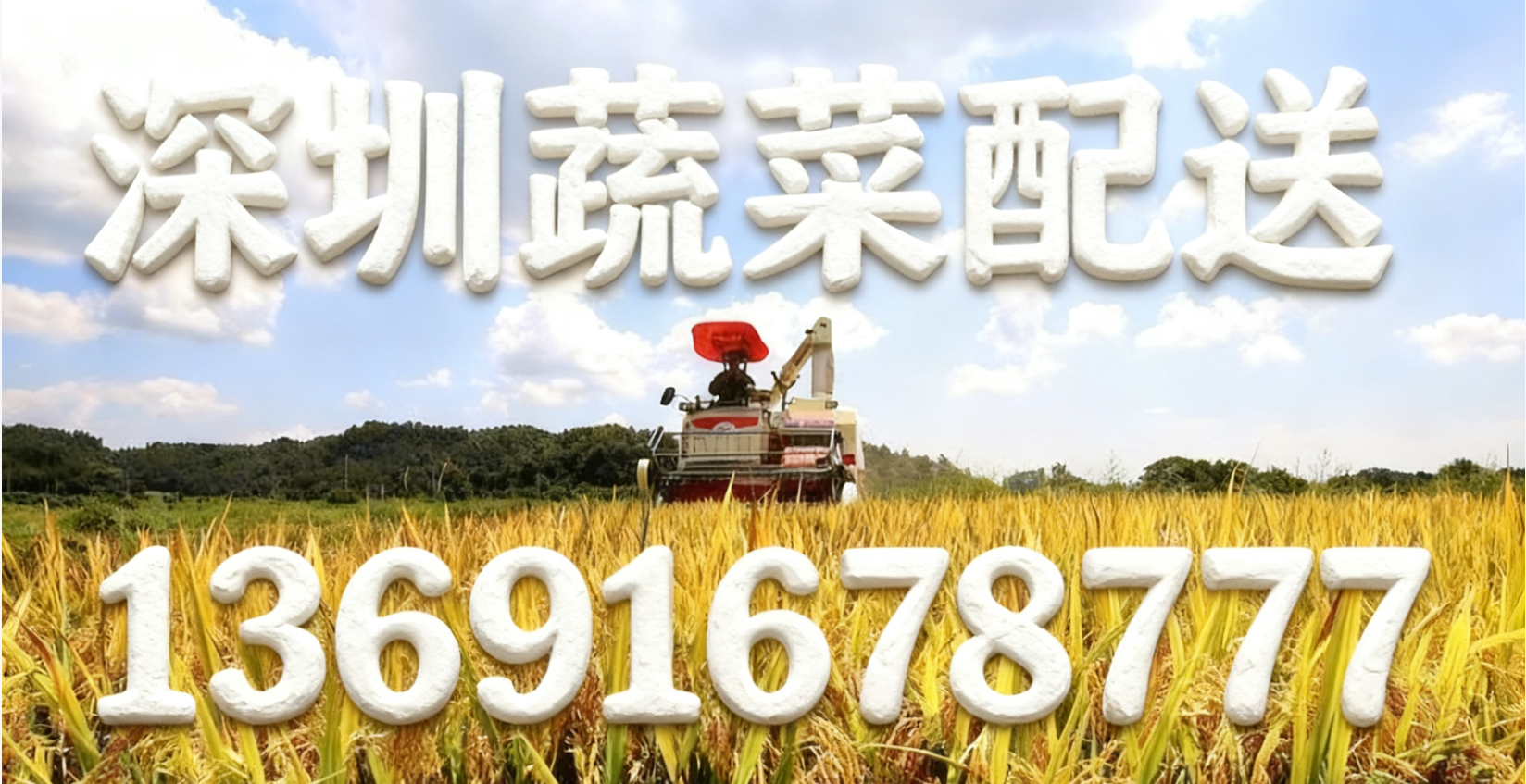 東莞蔬菜配送中心?解讀:“十五五” 怎么讓大家吃得更穩(wěn)、更優(yōu)?